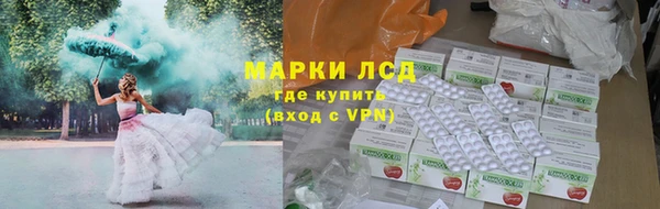 гидра Бородино