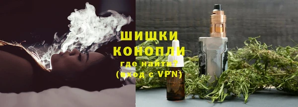 PSILOCYBIN Верхний Тагил