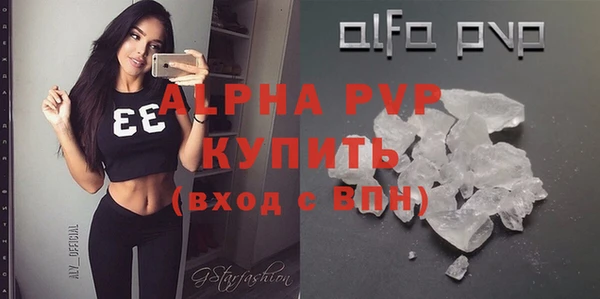 гидра Бородино