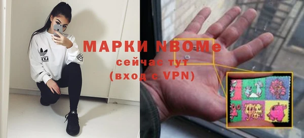 гидра Бородино