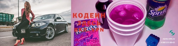 гидра Бородино