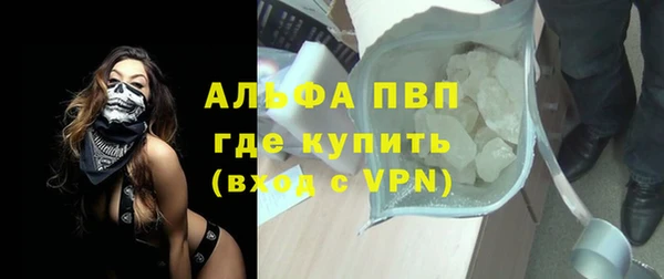 гидра Бородино