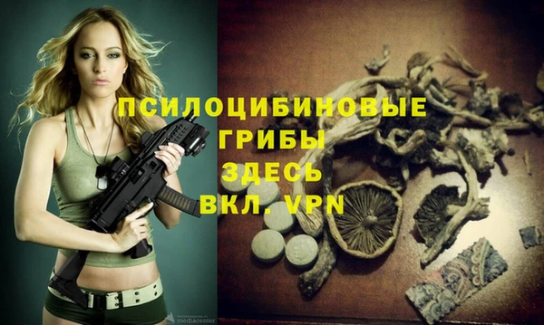гидра Бородино