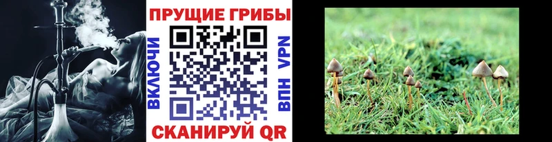 Псилоцибиновые грибы Magic Shrooms  Рубцовск 